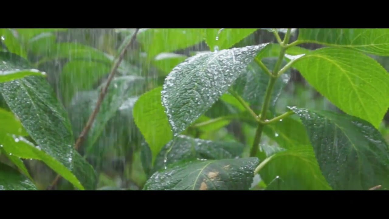 C200 Slow Motion Recording Test Run