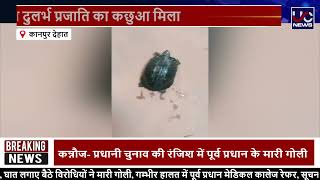 Kanpur Dehat  20 नाखून वाला दुलर्भ प्रजाति का कछुआ मिला screenshot 3