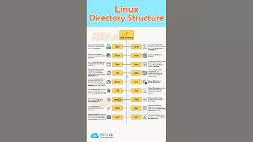 Linux Secrets Revealed Top Directories You Never Knew Existed!