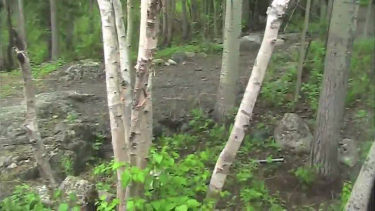 Canadian Fishing Lodge (God's Lake,Manitoba) YouTube