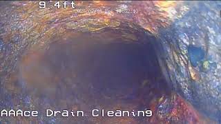 Cityscape 1113. Video 1