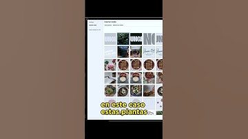 Crea un texto con fondo fijo en Elementor y mejora tus diseños web. #diseñoweb #webdesign #elementor