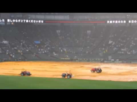阪神タイガース2016/雨天中止の甲子園(2016.6.16)