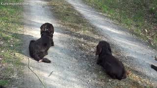 Kursimpressionen I Szene 1-6