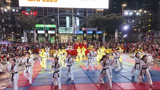 The Spirit of Vietnam: Dance & Martial Arts at Reunification Day Celebrations
