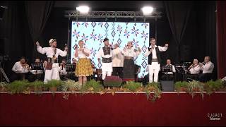 Alex Brdan Paul Ananie Oana Tomoiag Gabriel Dumitru Andreea Haisan n Recital  2024