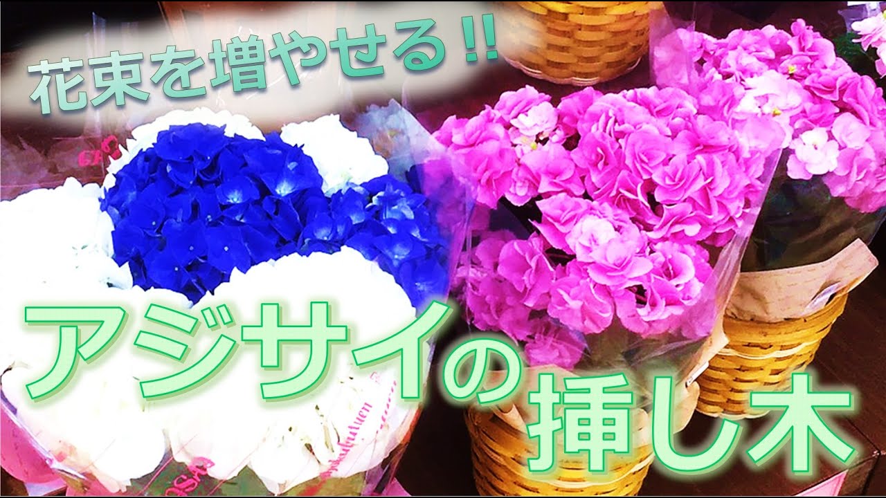 アジサイの花束から挿し木で増やそう 貰って育てる Youtube