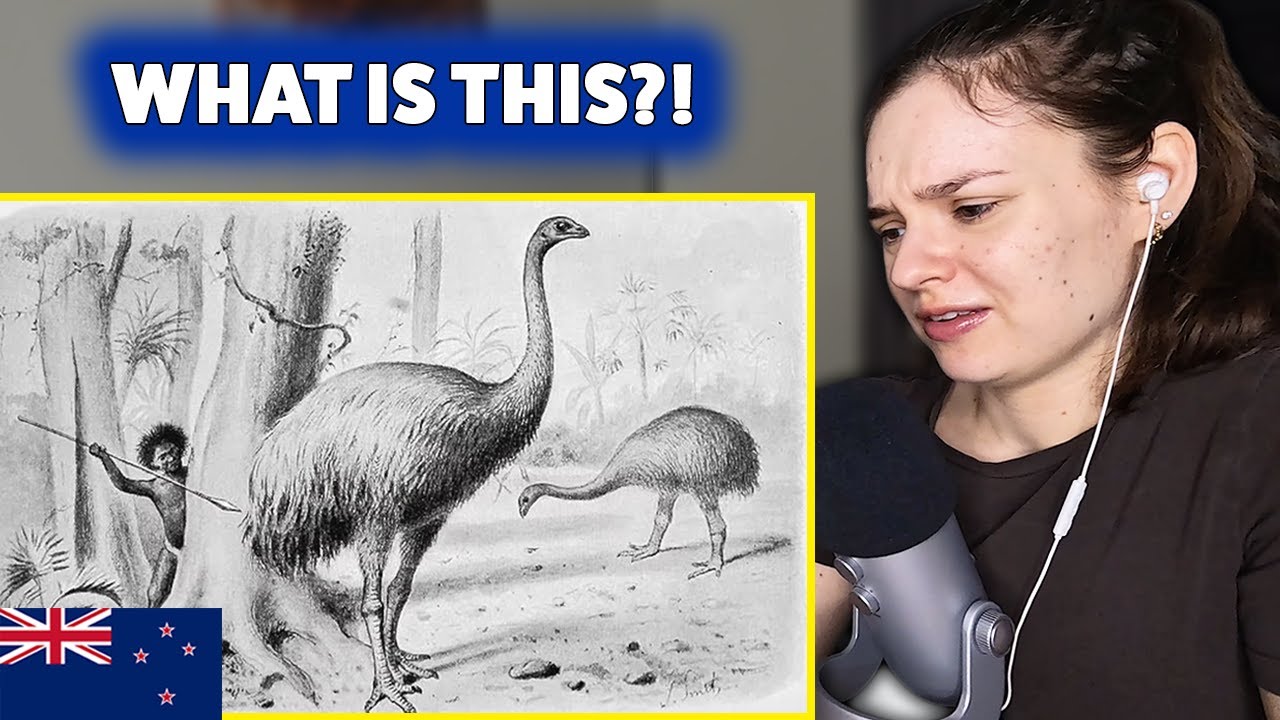 European Reacts to Geography Now! New Zealand 🇳🇿
