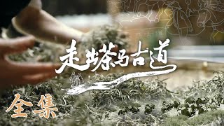 【走出茶马古道】01-06全集 沿着这些古道脉络，去再现地球极地的绝美⻛光💖 | 腾讯视频 - 纪录片