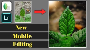 Creative Snapseed Editing 2020 | New Snapseed Photo Editing | New Creative Mobile Photography Idea