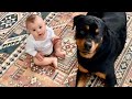 Are Rottweiler's good with Kids? |76