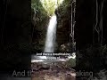 A peaceful waterfall near Ruteng, surrounded by lush tropical nature on Flores Island. 🌿💧#travel