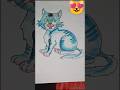 CAT Drawing #cforcat #cat #drawing