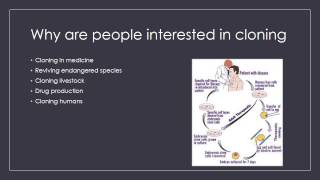 Cloning PowerPoint