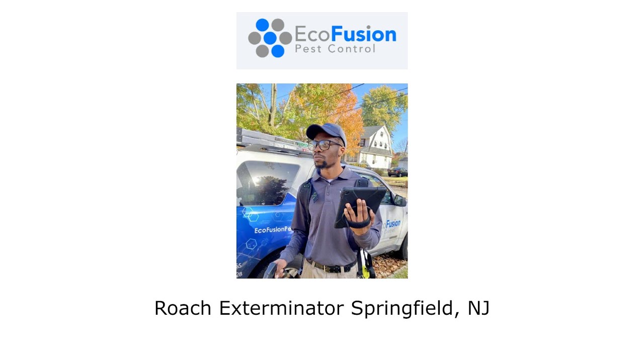 Roach Exterminator Springfield, NJ - EcoFusion Pest Control