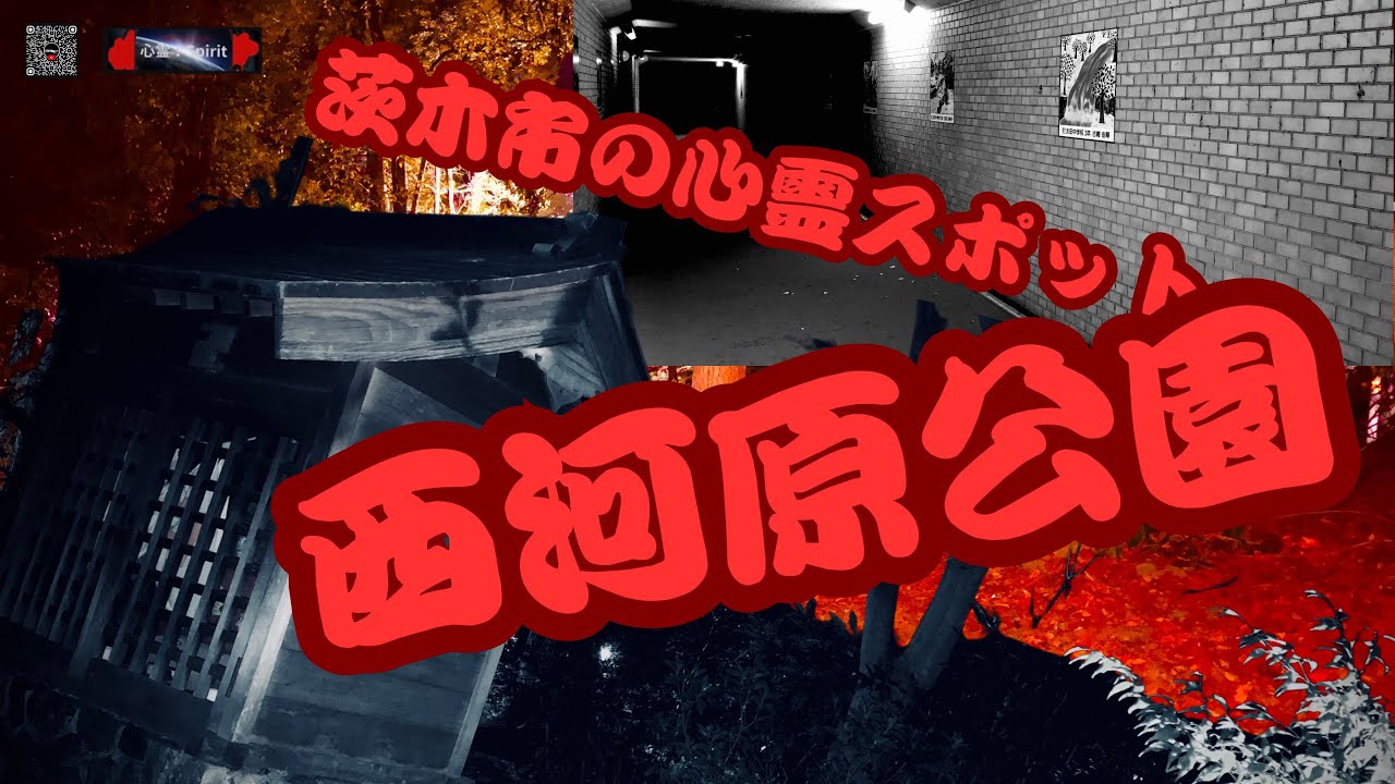 ［大阪府茨木市の心霊スポット］西河原公園　広大なこの公園では何体もの首⭕️自⭕️が‼️   【4K】