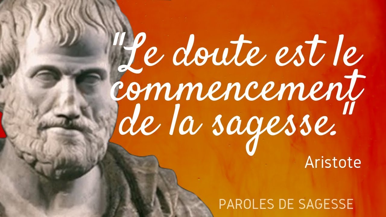 [532] Citations De Descartes Sur Le Doute