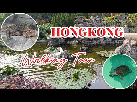 SUMMER STROLL AROUND THE CITY OF TUEN MUN PARK | HK 2026