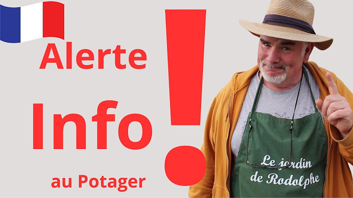 Alerte Chaleur au Potager ! Comment Sauver Vos Semis et Plantations?