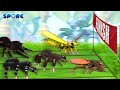 Insect Race | Insect Face-off [S1] | SPORE