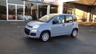 Fiat Panda 1.2 69Cv Easy Euro 6D-Temp