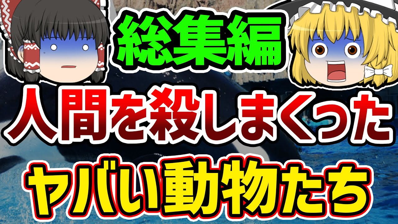 【総集編】【作業用】動物たちが起こした恐ろしすぎる事件まとめ【ゆっくり解説】
