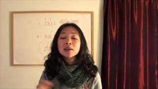 Meiyou and Bu, the differences when saying No