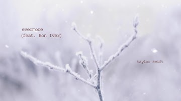 Taylor Swift - evermore (Official Lyric Video) ft. Bon Iver