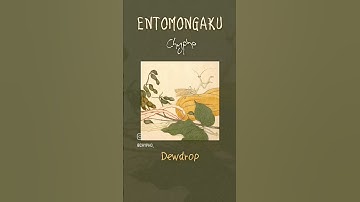 Entomongaku by Chypho — Available on all streaming! #bugmusic #plantmusic #cottagecore #entomology