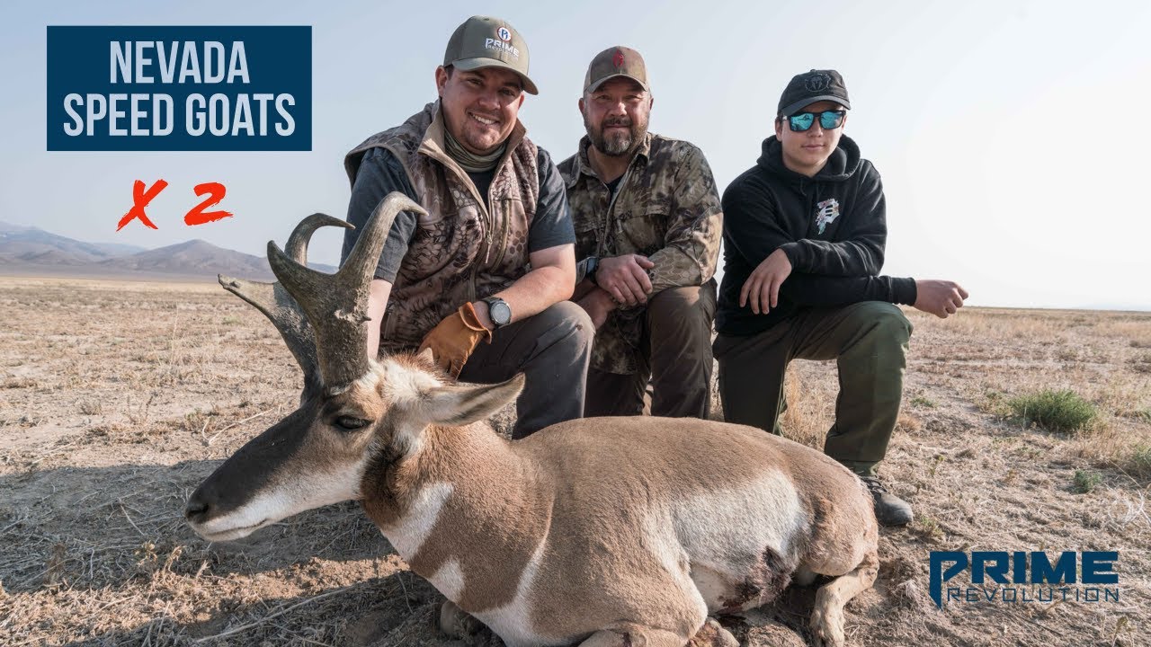 2 GIANT Nevada Pronghorn Bucks Down!