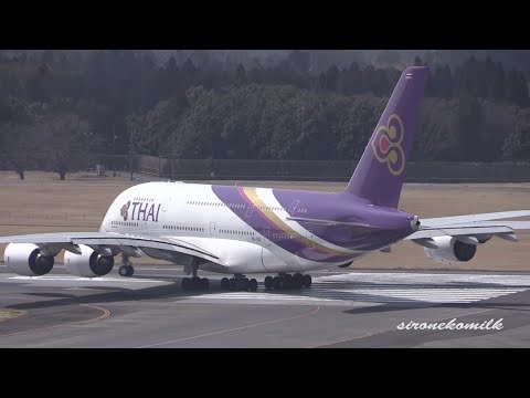 THAI Airways A380-800 タイ航空 エアバス 1:400