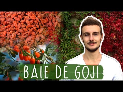 Vidéo: Pourquoi les baies de goji sont-elles bonnes pour vous ?