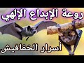 تأمل في خلق الله عجائب الخفافيش ودروس من الإعجاز الإلهي دليل الطبيعة 