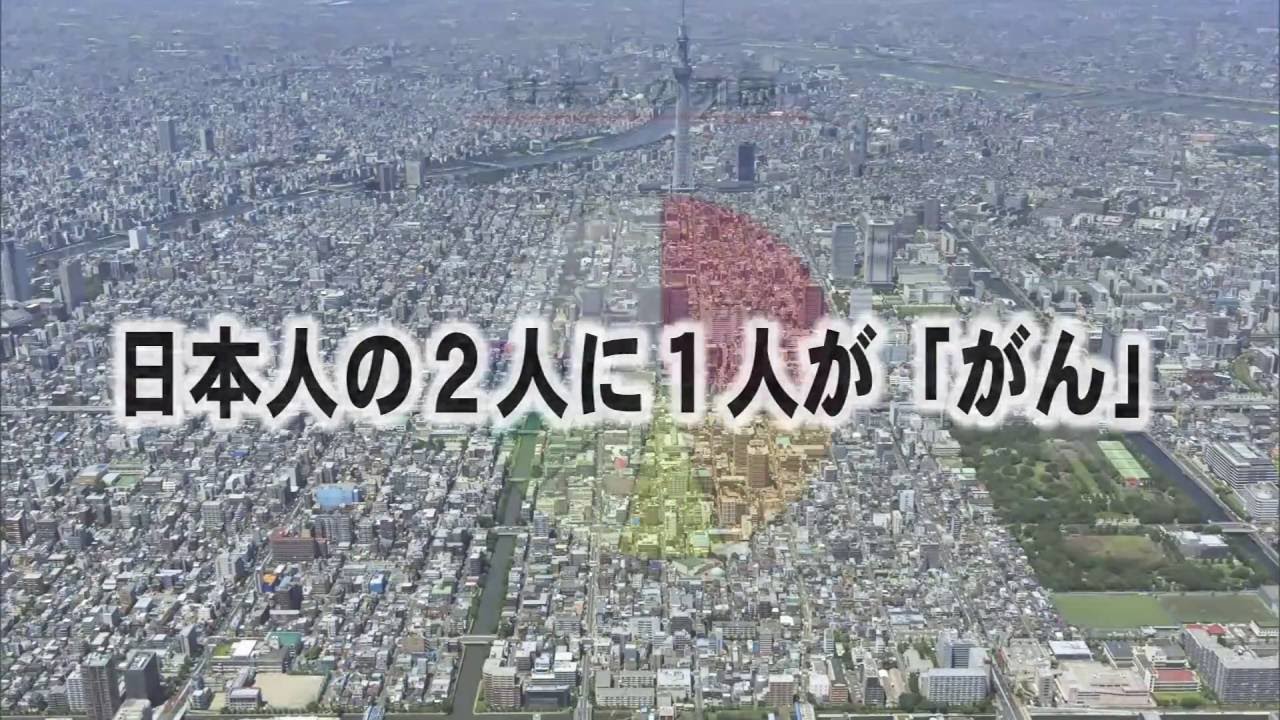 ローソン葛西ターミナル店は一般人も入れる?驚きの品揃えと利用法を徹底検証