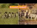 العظماء الخمسة