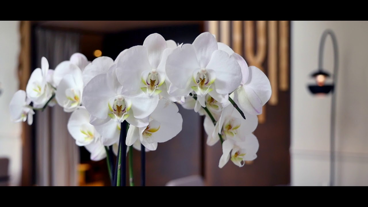 Maison de l'Amérique Latine - Com en Régions