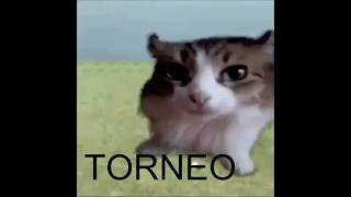 torneo  tuneado en MINECRAFT | #minecraftuhc #minecraft #minecraftbedwars #minecraftshorts #bedwars