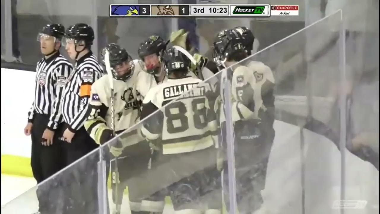 USA Hockey Tier II Nationals 2022 Christian Streuber Goal 1 (Team