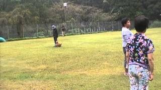 opdes チームテスト TT2 2013.9.29