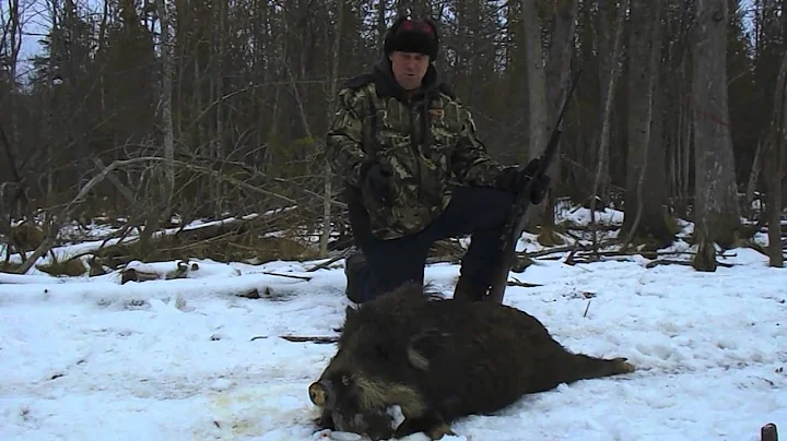 Russian Boar - Michigan Hunter Brings Home the Bacon