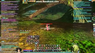 GamezAion Fly Hacking Gunner