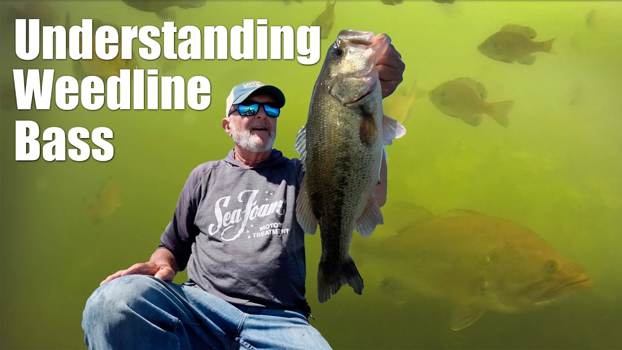 Master Weedline Fishing: Secrets of Big Bass Success - YouTube