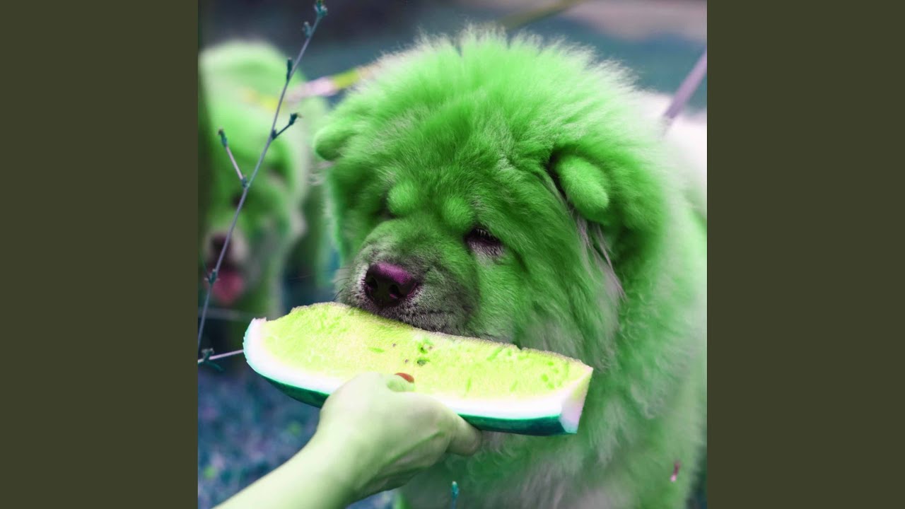 Wonderful Electric and Acoustic Piano - Vibe for Bright-Eyed Doggy