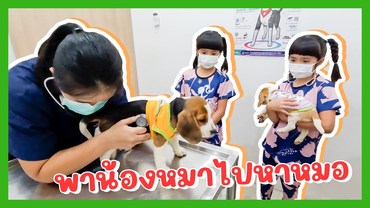YimYamFamily | พาน้องหมาไปหาหมอ