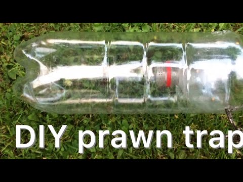 DIY prawn trap - easy to make 