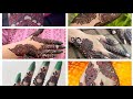 latest 50+ eid mehndi designs | latest eid mehndi design 2024 |  #eidmehndidesign