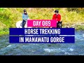 DAY 69 🐴 Horse Trekking in the Manawatu Gorge at Makoura Lodge - New Zealand Travel