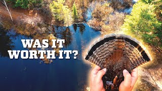 Crossing a Beaver Dam to Hunt Ruffed Grouse!