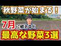 【7月】に植えるべき！家庭菜園におすすめの野菜を紹介します。