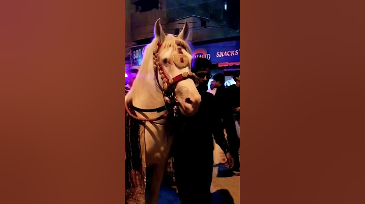 Han Mera Imam Hussain Nadeem Sarwar Noha 2024 Zuljanah videos #zuljana